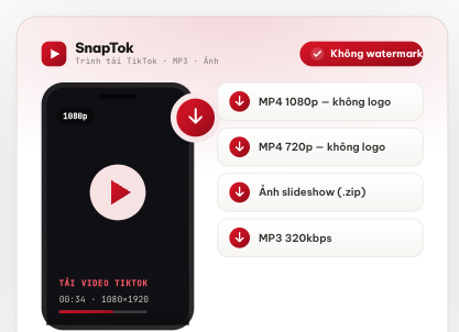 Các định dạng tải trên SnapTok: MP4 1080p và 720p không logo, ảnh slideshow, MP3 320kbps